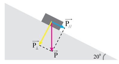 Giải Lý 10 Bài 13