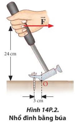 Giải Lý 10 Bài 14