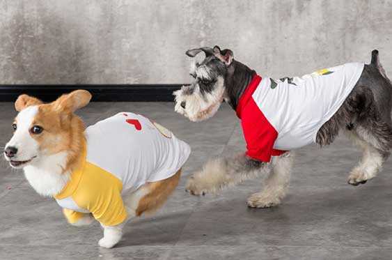 Sáng tạo - trang 30 SGK Mĩ thuật lớp 6 Cánh Diều