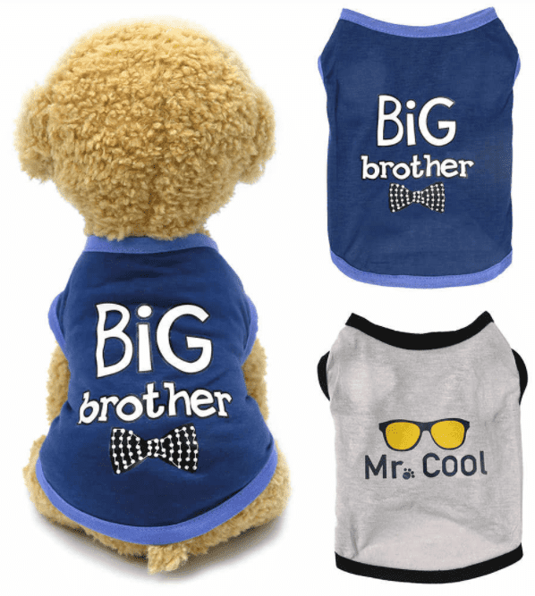 Thảo luận - trang 32 SGK Mĩ thuật lớp 6 CD