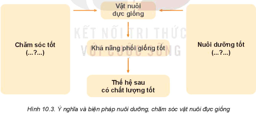 Công nghệ 7