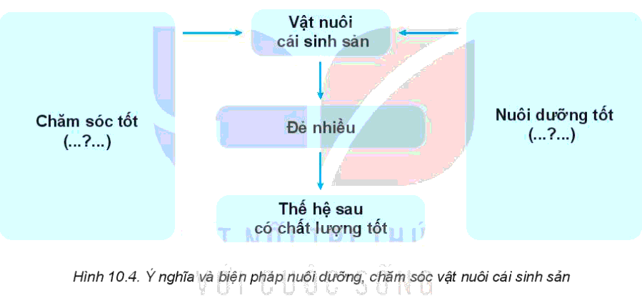 Công nghệ 7