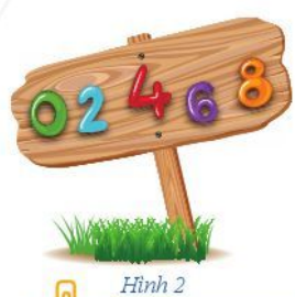 Hoạt động 2 trang 6, 7 Toán 6 Cánh Diều