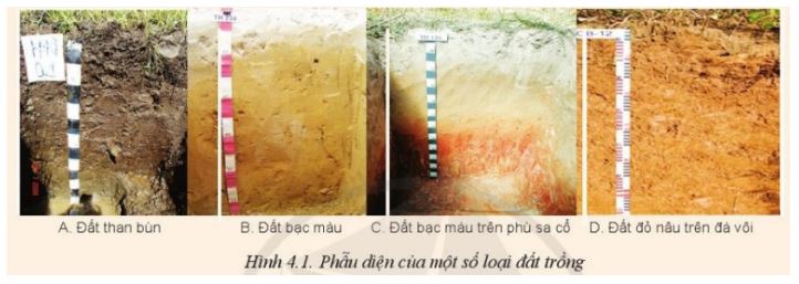 Giải Công nghệ 10 Bài 4