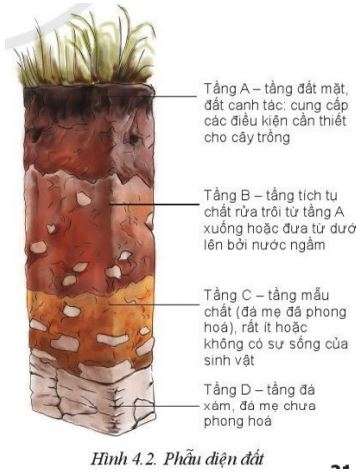 Giải Công nghệ 10 Bài 4