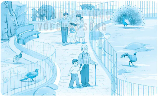 Bài 3: Cánh rừng trong nắng