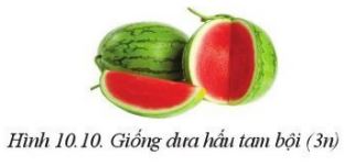 Giải Công nghệ 10 Bài 10