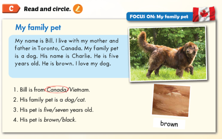 Sách Smart Start 3 Unit 2 Culture