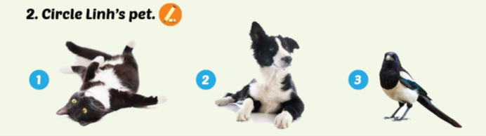 Sách Smart Start 3 Unit 2 Culture