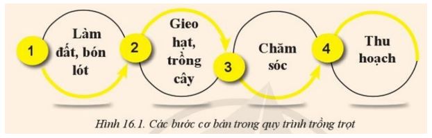 Giải Công nghệ 10 Bài 16