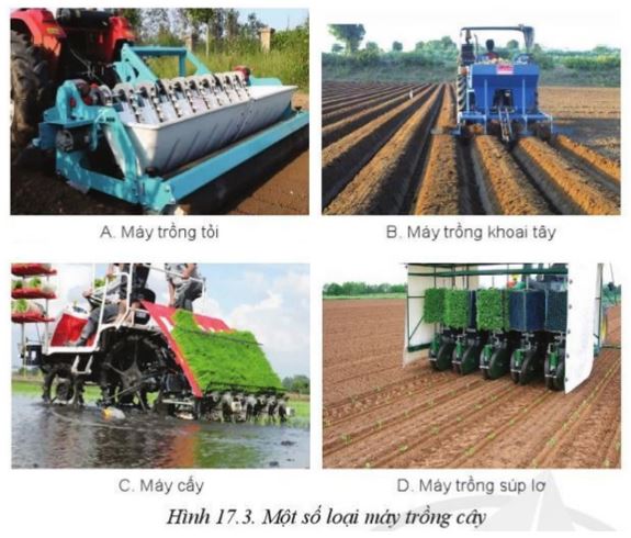 Giải Công nghệ 10 Bài 17