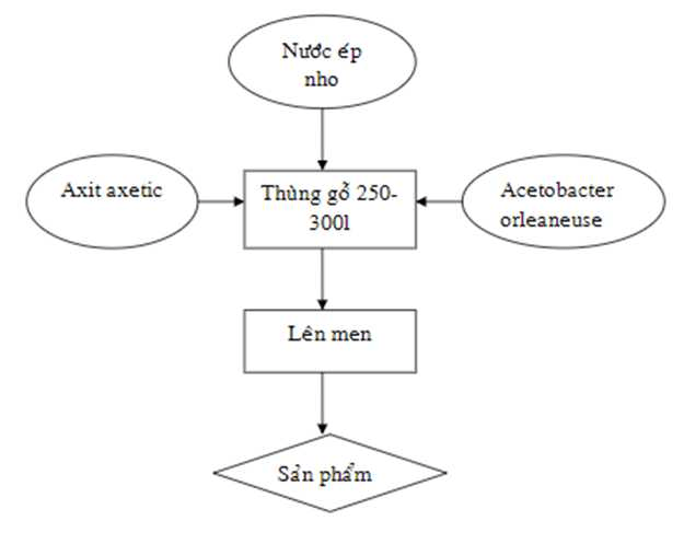 ôn tập hóa học 9