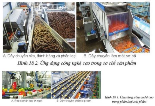 Giải Công nghệ 10 Bài 18