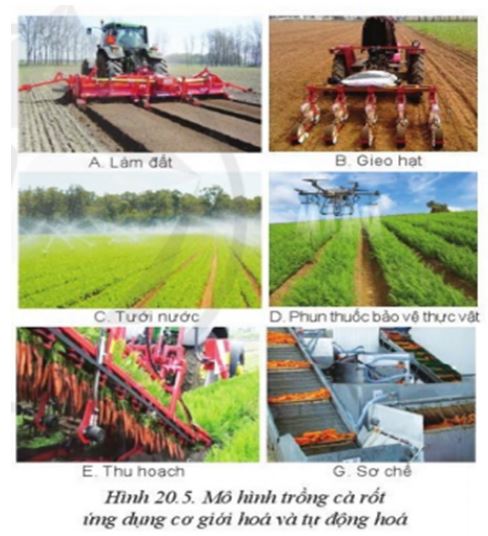 Giải Công nghệ 10 Bài 20