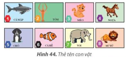 Tin học lớp 3 Bài 7: Sắp xếp để dễ tìm trang 34, 35, 36, 37, 38 | Kết nối tri thức (ảnh 1)