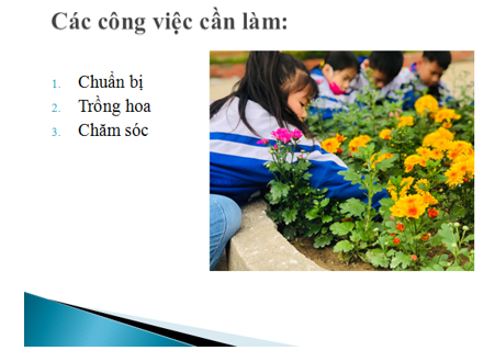 Tin học lớp 3 Bài 16: Công việc của em và sự trợ giúp của máy tính trang 71, 72, 73, 74 | Kết nối tri thức (ảnh 1)