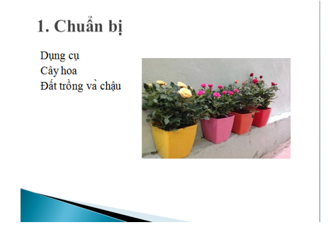 Tin học lớp 3 Bài 16: Công việc của em và sự trợ giúp của máy tính trang 71, 72, 73, 74 | Kết nối tri thức (ảnh 1)