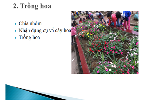 Tin học lớp 3 Bài 16: Công việc của em và sự trợ giúp của máy tính trang 71, 72, 73, 74 | Kết nối tri thức (ảnh 1)