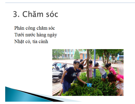 Tin học lớp 3 Bài 16: Công việc của em và sự trợ giúp của máy tính trang 71, 72, 73, 74 | Kết nối tri thức (ảnh 1)