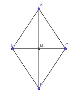 Giải Toán 10 Bài 8 KNTT