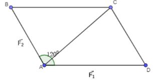Giải Toán 10 Bài 8 KNTT