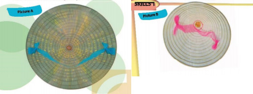 Soạn giải tiếng Anh lớp 9 Unit 1 Skills 1