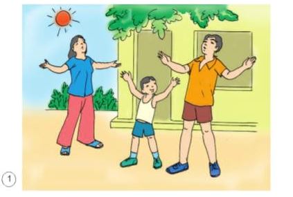 Quan sát và trả lời (SGK Khoa học lớp 4 tập 1 trang 4)