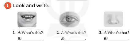 Sách bài tập Tiếng Anh 3 Unit 4 Our bodies