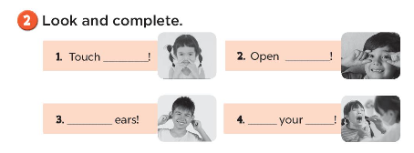 Sách bài tập Tiếng Anh 3 Unit 4 Our bodies