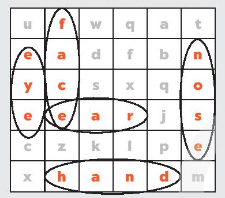 Sách bài tập Tiếng Anh 3 Unit 4 Our bodies