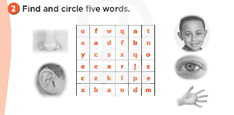 Sách bài tập Tiếng Anh 3 Unit 4 Our bodies