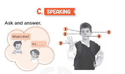 Sách bài tập Tiếng Anh 3 Unit 4 Our bodies