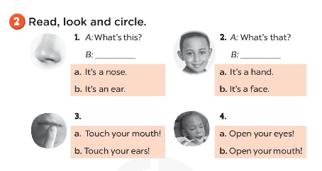 Sách bài tập Tiếng Anh 3 Unit 4 Our bodies