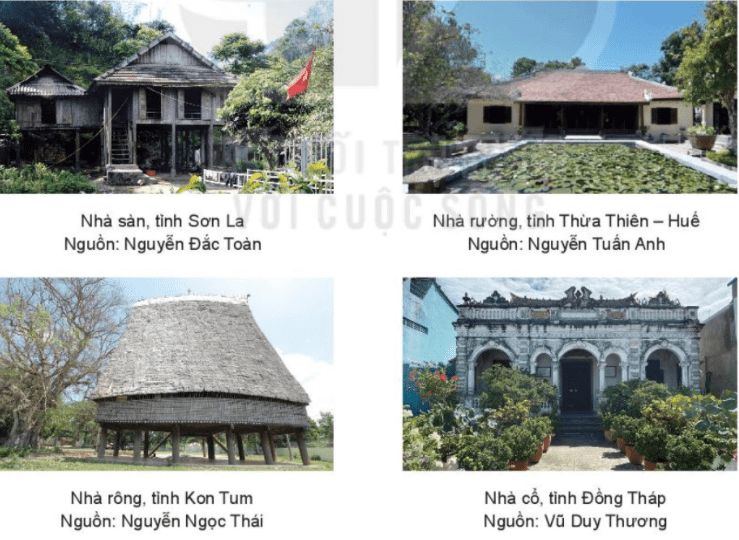 Quan sát - trang 12 SGK Mĩ thuật lớp 6 Kết nối tri thức