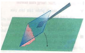 Lý thuyết Sinh học 8 Bài 5: Thực hành: Quan sát tế bào và mô hay, chi tiết