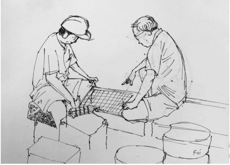 Quan sát - trang 22 SGK Mĩ thuật lớp 6 Kết nối tri thức