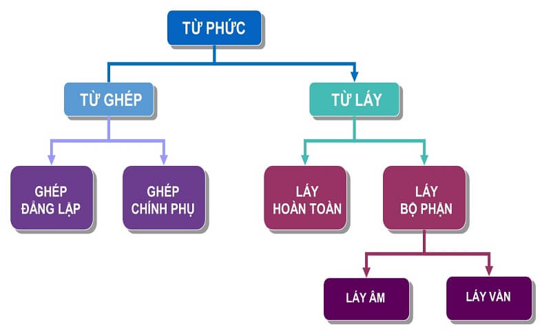 Từ phức là gì