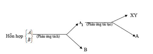 ôn tập hóa học 8