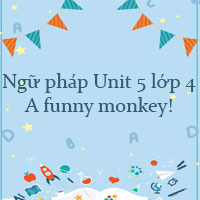 Ngữ pháp Unit 5 lớp 4 A funny monkey!