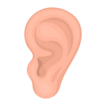 Bài tập Tiếng Anh lớp 3 Unit 4 Our bodies sách Global Success