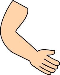 Bài tập Tiếng Anh lớp 3 Unit 4 Our bodies sách Global Success