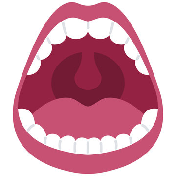 Bài tập cuối tuần Tiếng Anh lớp 3 Global Success - Tuần 6