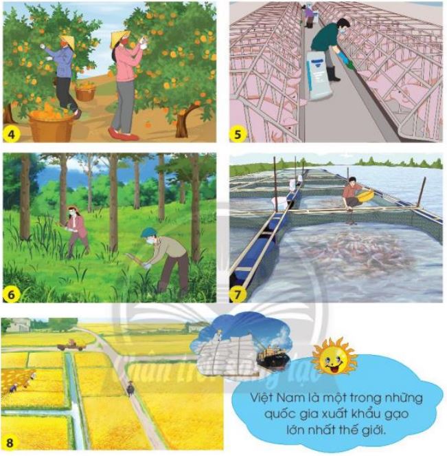 Tự nhiên xã hội lớp 3 Bài 11 trang 46, 47 Nhận thức - Chân trời sáng tạo