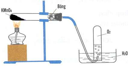 ôn tập hóa học 8
