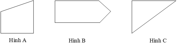 Câu 6: Trong các hình trên hình nào có hai góc vuông?