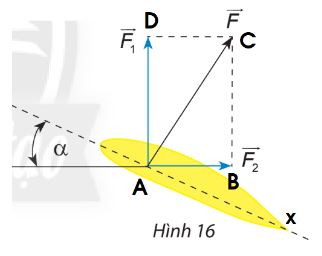 Giải Toán 10 Bài 2 CTST