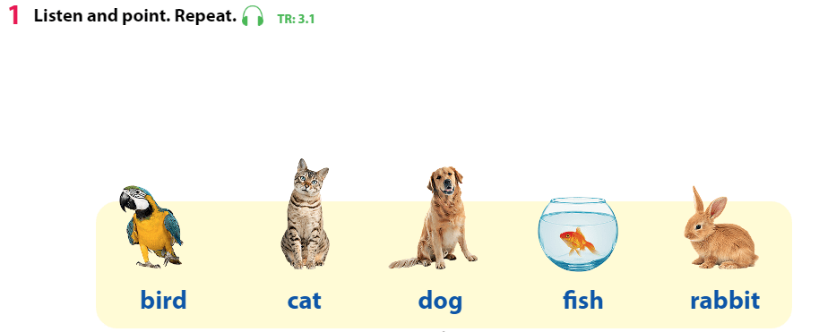 Tiếng Anh 3 Wonderful World Unit 3 Lesson 1