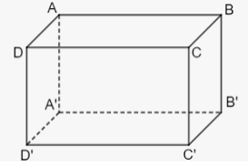 Đề Toán 7 giữa kì 1 Cánh diều