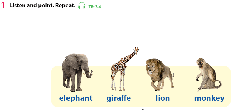 Tiếng Anh 3 Wonderful World Unit 3 Lesson 2