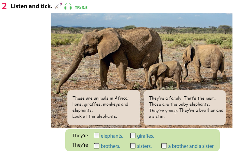 Tiếng Anh 3 Wonderful World Unit 3 Lesson 2